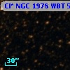 Cl* NGC 1978    WBT    5355