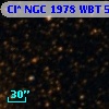 Cl* NGC 1978    WBT    5357