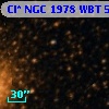 Cl* NGC 1978    WBT    5363