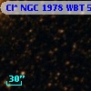 Cl* NGC 1978    WBT    5364