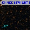 Cl* NGC 1978    WBT    5365