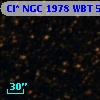 Cl* NGC 1978    WBT    5370