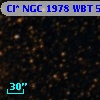 Cl* NGC 1978    WBT    5373