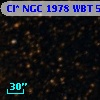 Cl* NGC 1978    WBT    5376
