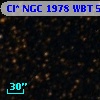 Cl* NGC 1978    WBT    5378