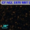 Cl* NGC 1978    WBT    5383