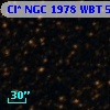 Cl* NGC 1978    WBT    5385
