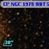 Cl* NGC 1978    WBT    5392