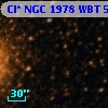 Cl* NGC 1978    WBT    5395