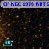 Cl* NGC 1978    WBT    5396