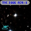 TYC 3166-928-1