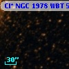 Cl* NGC 1978    WBT    5418
