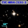 TYC 4084-2131-1