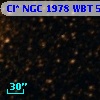 Cl* NGC 1978    WBT    5439