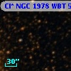 Cl* NGC 1978    WBT    5442