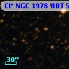 Cl* NGC 1978    WBT    5443