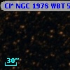 Cl* NGC 1978    WBT    5444