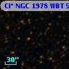 Cl* NGC 1978    WBT    5445