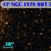 Cl* NGC 1978    WBT    5446