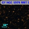 Cl* NGC 1978    WBT    5447