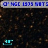 Cl* NGC 1978    WBT    5449
