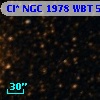 Cl* NGC 1978    WBT    5462