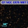 Cl* NGC 1978    WBT    5471