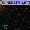 Cl* NGC 1978    WBT    5478
