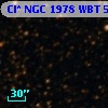 Cl* NGC 1978    WBT    5489