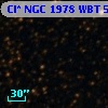 Cl* NGC 1978    WBT    5491