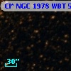 Cl* NGC 1978    WBT    5501