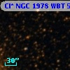 Cl* NGC 1978    WBT    5503