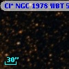 Cl* NGC 1978    WBT    5505