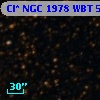 Cl* NGC 1978    WBT    5509