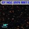 Cl* NGC 1978    WBT    5513