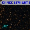 Cl* NGC 1978    WBT    5516