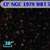 Cl* NGC 1978    WBT    5519
