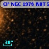 Cl* NGC 1978    WBT    5523