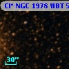 Cl* NGC 1978    WBT    5529