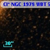 Cl* NGC 1978    WBT    5530