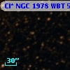 Cl* NGC 1978    WBT    5534