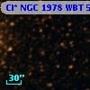 Cl* NGC 1978    WBT    5536