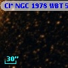 Cl* NGC 1978    WBT    5537