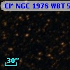 Cl* NGC 1978    WBT    5539