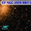 Cl* NGC 1978    WBT    5541