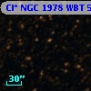 Cl* NGC 1978    WBT    5544