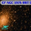 Cl* NGC 1978    WBT    5547