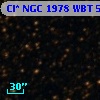 Cl* NGC 1978    WBT    5550