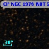 Cl* NGC 1978    WBT    5551