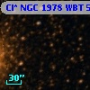 Cl* NGC 1978    WBT    5553